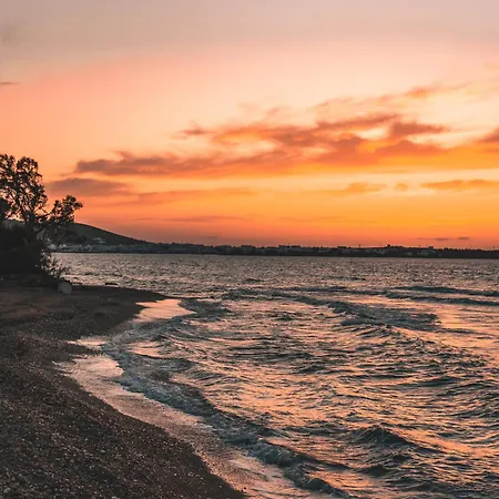 ホテル Paros, A Member Of Radisson Individuals Pounda